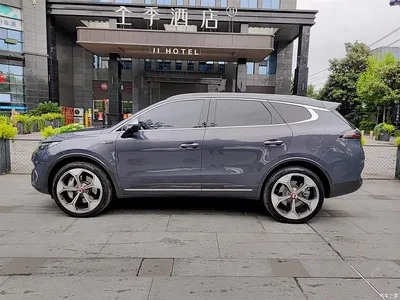 2020 Denza X Model PHEV Flagship Edition, фото 3, лот 10354979