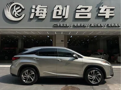 2016 Lexus RX 300 4WD Elegance Edition (China V), фото 3, лот 10887422