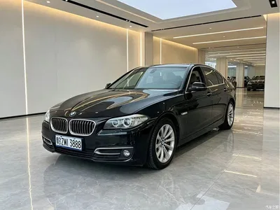 2010 BMW 5 Series 523Li Luxury, фото 1, лот 10813075