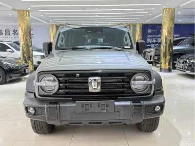 2023 Tank 300 Off-Road Edition 2.0T Conqueror, фото 2, лот 10345190