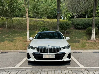 2025 BMW 5 Series 530Li Premium M Sport Package, фото 1, лот 10765908