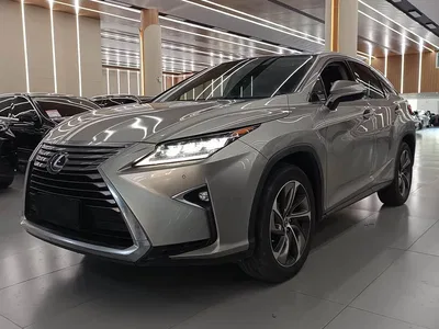 2016 Lexus RX 300 4WD Elegance Edition (China V), фото 1, лот 11448671