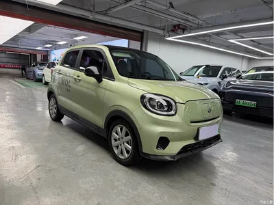 2022 Leapmotor T03 Star Diamond Edition, фото 3, лот 10383307