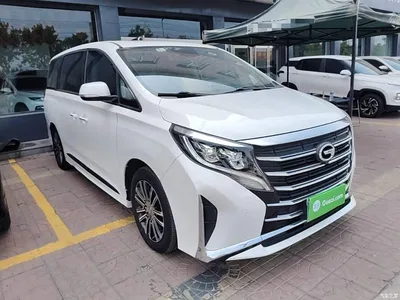 2021 GAC Trumpchi Trumpchi M8 Leading Show Series 390T Prestige Edition, фото 4, лот 10421904