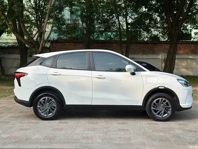 2021 Nezha Auto Nezha V Standard Range Entertainment Upgrade, фото 4, лот 10823808