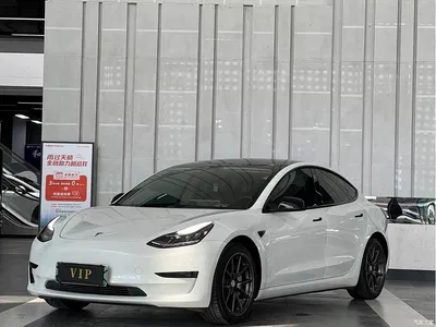2020 Tesla Model 3 Standard Range Rear-Wheel Drive Upgrade, фото 1, лот 10352129