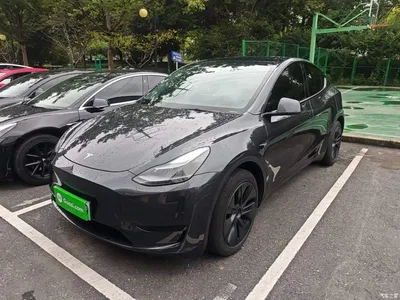 2024 Tesla Model Y Rear-Wheel Drive Version, фото 2, лот 11198658