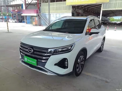 2020 GAC Trumpchi Trumpchi GS4 270T Automatic Smart Connect Tech Version, фото 2, лот 10421624