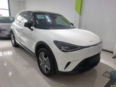 2022 smart Elf #1 Pro+ Edition, фото 4, лот 10343648