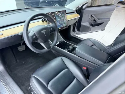 2019 Tesla Model 3 Standard Range Rear-Wheel Drive Upgrade, фото 2, лот 10366496