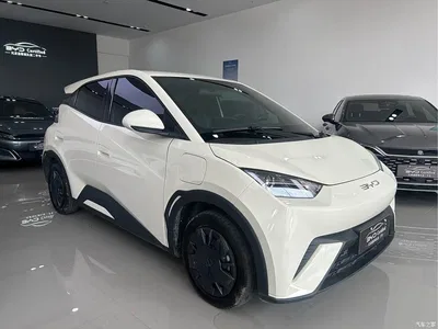 2024 BYD Seagull Glory Edition 305km Vitality Edition, фото 2, лот 11187525