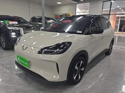 2024 Wuling Motors Wuling Binguo PLUS Model 330km 5-Seater, фото 2, лот 11196388