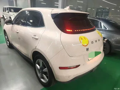 2025 Ora Good Cat Model 430km Luxury, фото 2, лот 10442802