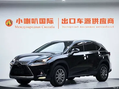 2020 Lexus NX 200 AWD F Sport China V, фото 1, лот 10311667