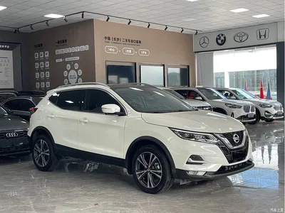 2022 Nissan Qashqai 2.0L CVT XV Prem Luxury Edition, фото 3, лот 10342296