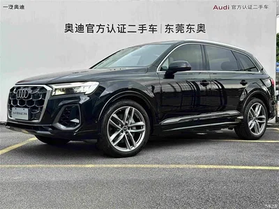2024 Audi Q7 55 TFSI quattro S line Sport, фото 1, лот 10478654
