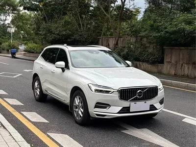 2020 Volvo XC60 T5 4WD Intelligent Comfort Luxury Edition, фото 4, лот 10357047
