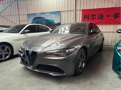 2020 Alfa Romeo Giulia 2.0T 280HP Luxury Edition, фото 1, лот 10240308