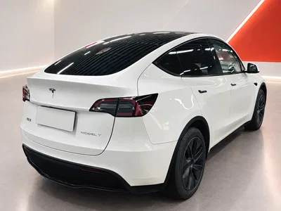 2023 Tesla Model Y Rear-Wheel Drive Edition, фото 4, лот 10451955