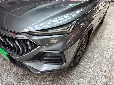2021 Changan Oshan Changan Oushang X5 1.5T DCT Flagship, фото 3, лот 11162519