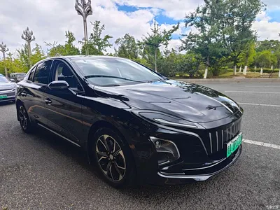 2023 Hongqi E-QM5 Facelift Basic Travel Edition, фото 2, лот 10671113