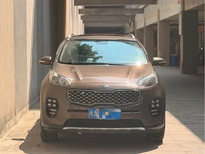 2016 Kia KX5 Model 1.6T Automatic 2WD DLX, фото 2, лот 11222375