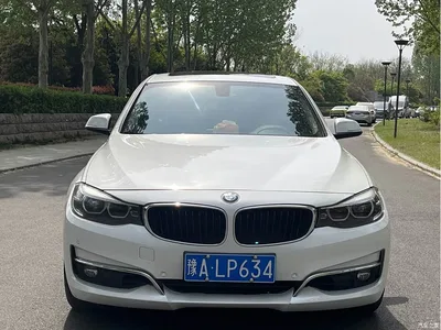2017 BMW 3 Series GT 320i Luxury Design Package, фото 2, лот 10473335
