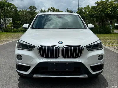 2018 BMW X1 xDrive20Li Premium Model, фото 1, лот 10466776