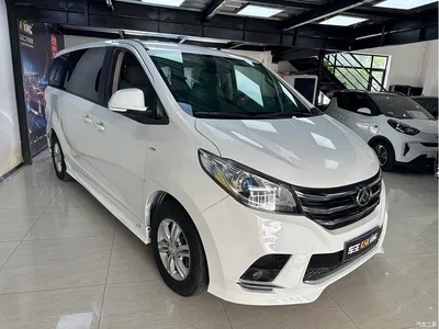 2019 SAIC Maxus Maxus G10 Facelift PLUS 2.0T Automatic Elite Edition China VI, фото 3, лот 11159233