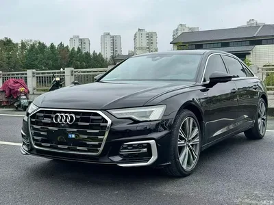 2023 Audi A6L 45 TFSI quattro Premium Dynamic, фото 1, лот 10433143