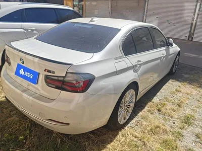 2018 BMW 3 Series 320Li Fashion Style, фото 3, лот 11549393