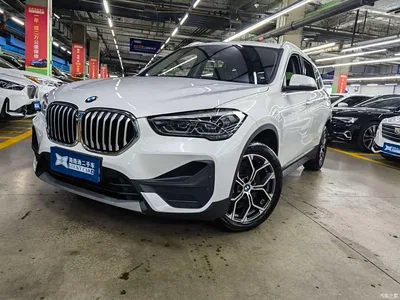 2020 BMW X1 sDrive25Li Leading Model, фото 1, лот 10464952