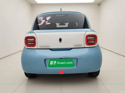 2019 Ora Black Cat 301km Standard, фото 4, лот 10330816