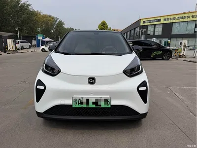 2024 QQ New Energy Little Ant 321km Favorite Edition, фото 2, лот 10826336