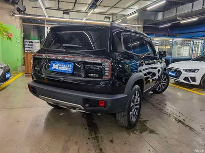 2024 Haval Big Dog 1.5T DCT Border Collie Edition, фото 4, лот 10816372