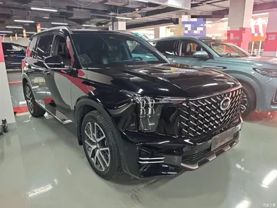 2022 GAC Trumpchi Trumpchi GS8 Pilot Series 2.0TGDI 2WD Premium Edition (7-Seater), фото 4, лот 10421761