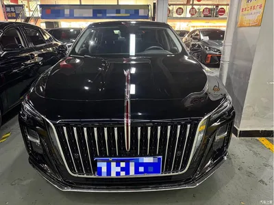 2024 Hongqi H5 1.5T DCT Smart Connect Flag Rhythm Edition, фото 2, лот 10398863