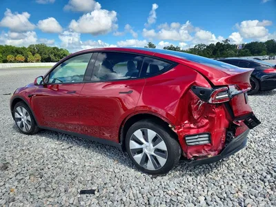 2024 TESLA MODEL Y, фото 2, лот 10856138