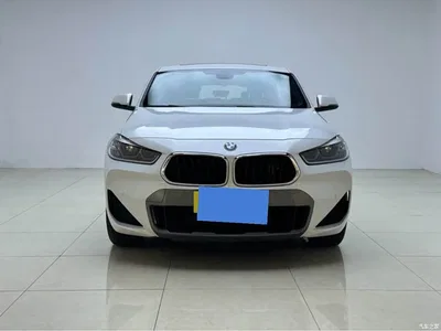 2021 BMW X2 sDrive25i Leading M Off-Road Package, фото 2, лот 10459953