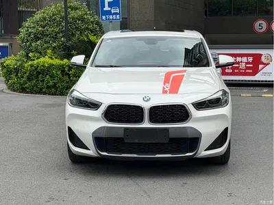 2022 BMW X2 sDrive25i Edge Edition, фото 2, лот 10427136