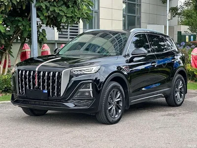 2025 Hongqi HS5 2.0T 2WD Qixiang Pro, фото 1, лот 10288628