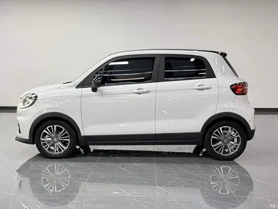 2021 Leapmotor T03 400 Luxury Edition, фото 3, лот 11188537