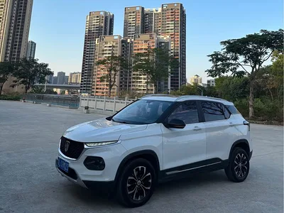 2018 Baojun 510 1.5L Automatic Anniversary Special Edition China V, фото 1, лот 10406988