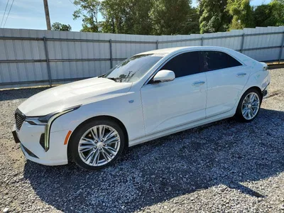 2022 CADILLAC CT4 PREMIUM LUXURY, фото 1, лот 10866074