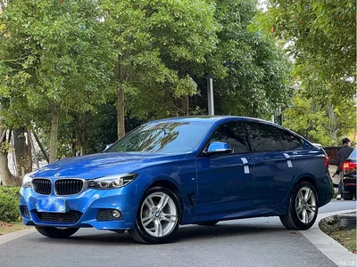 2019 BMW 3 Series GT 320i M Sport Package, фото 1, лот 10898743