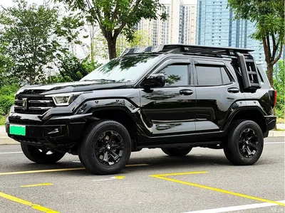 2024 Tank 400 New Energy Hi4-T Off-Road Edition, фото 1, лот 11193618