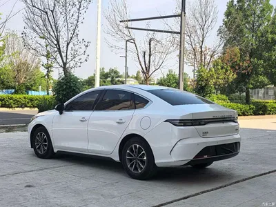 2024 BYD Destroyer 05 Glory Edition DM-i 55KM Executive, фото 4, лот 10887193