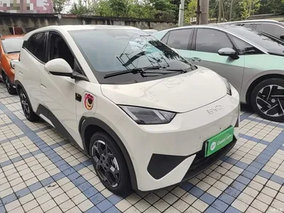 2025 BYD Seagull Smart Drive Edition 305km Freedom Version, фото 4, лот 10764279