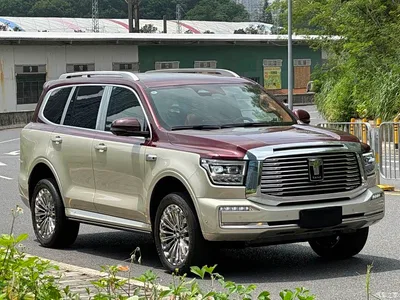 2023 Tank 500 3.0T Special Custom Edition (5-seater), фото 3, лот 10344359