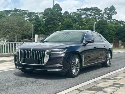 2020 Hongqi H9 2.0T Smart Connection Qi Chang Edition, фото 1, лот 11449178